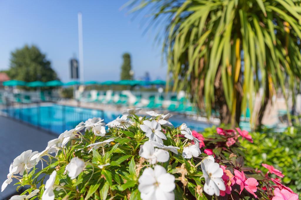 الشقق الفندقية لاتيزيفي  Residenza Orchidee المظهر الخارجي الصورة